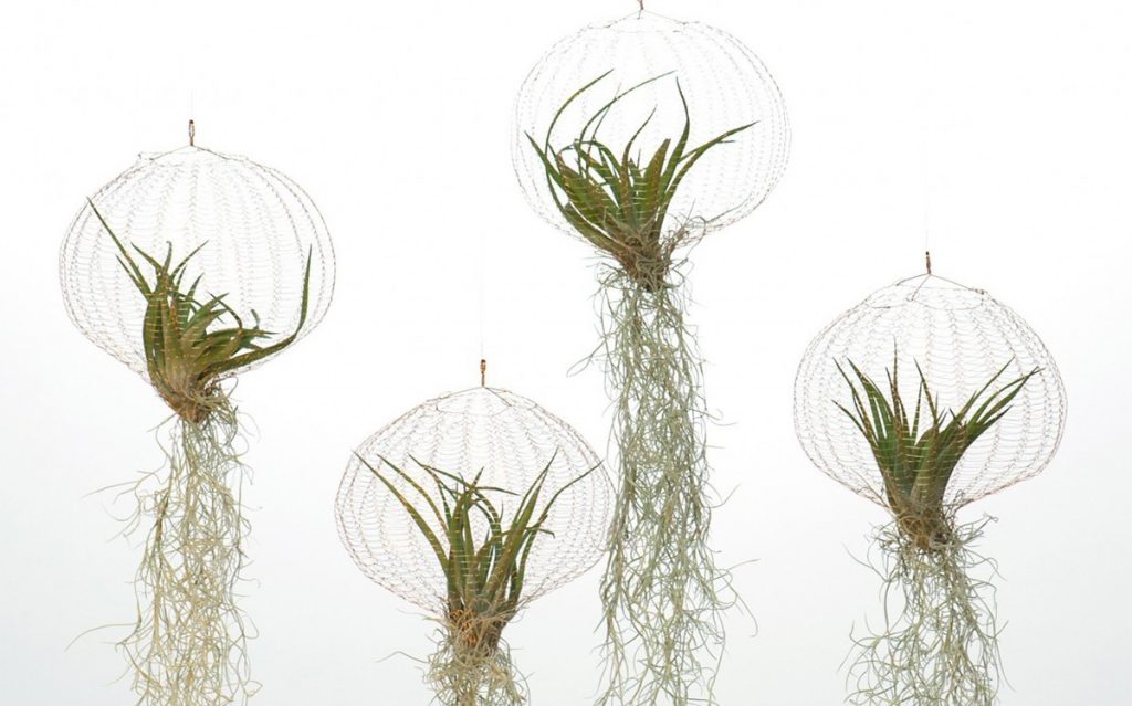 air-planting-carolijn-slottje-3_21