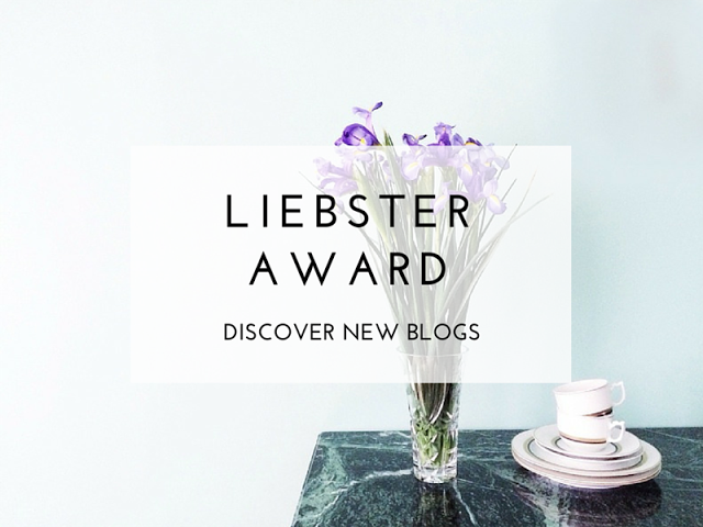 Liebster-Awards-discover-new-blogse25CC2580