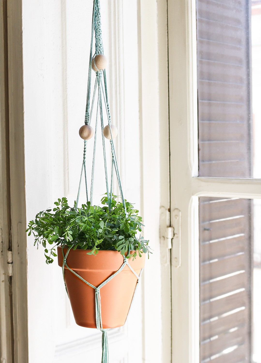 macrame-kit-coton-agave-plant-hanger-1